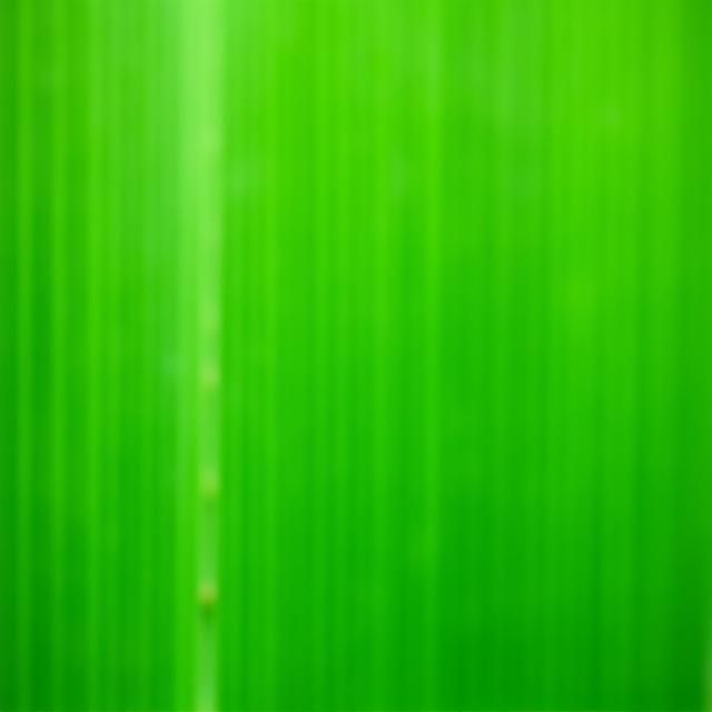 Close up of organic cleaning materials